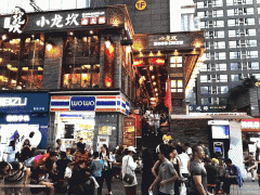 仅具备海底捞多店成长的财政基一条